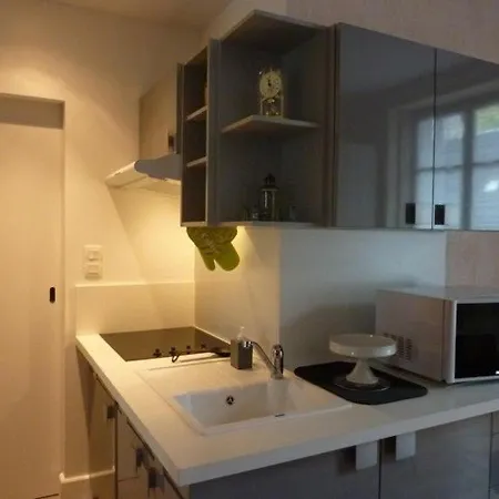 아파트 T1 Au Mont-dore Pour 4 Pers., Centre-ville - Fr-1-608-184 *