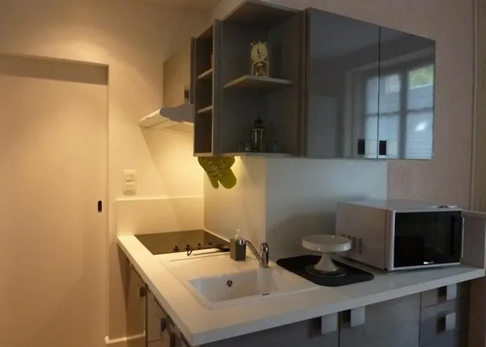 Appartement T1 Au Mont-dore Pour 4 Pers., Centre-ville - Fr-1-608-184 *