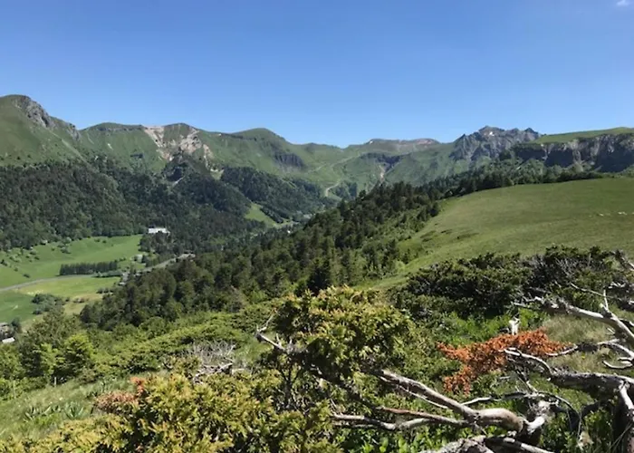 T1 Au Mont-dore Pour 4 Pers., Centre-ville - Fr-1-608-184 Apartment *